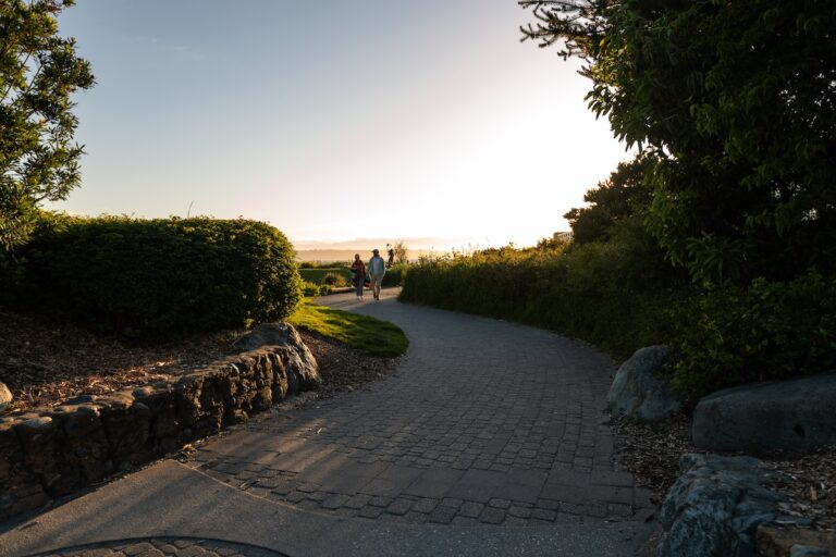 A paved path leads through a lush park with people walking. Sunlight filters through trees, casting a warm glow during a tranquil sunset.